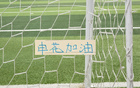 本轮客战辽宁！ 申花还能五外援吗 8月15日主场 包厢外援能清空吗