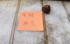 截止第25轮无扣分榜！成都蓉城是真的强 不管对手有没有扣分 他们都是第一