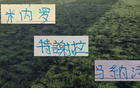 御三家年底合同到期外援 申花有米内罗等3人 山东泰山有2人